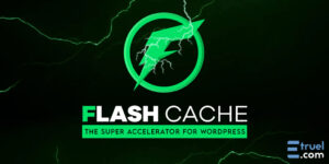 Flash Cache